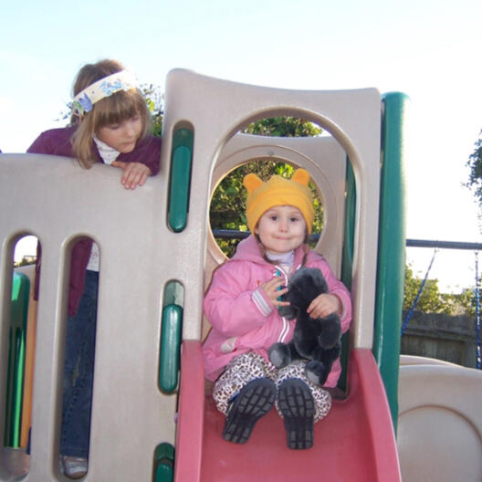 Untitled Children playing on the backyard slide structure