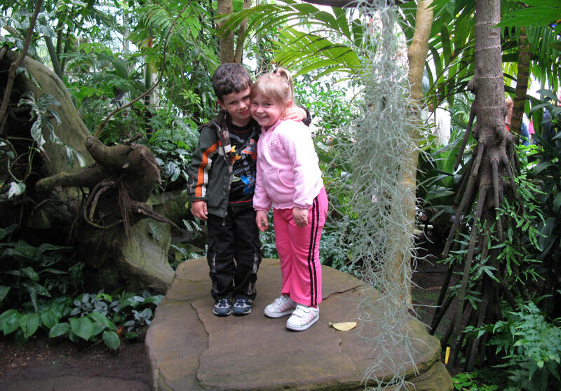 Untitled Children exploring a hands-on science exhibit